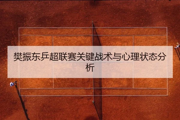 樊振东乒超联赛关键战术与心理状态分析（mk）